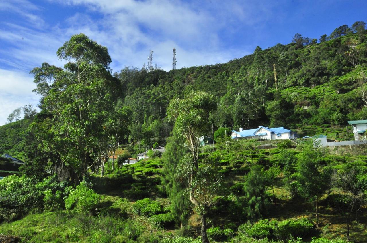 Summer Glow Guest - Nuwara Eliya Bagian luar foto