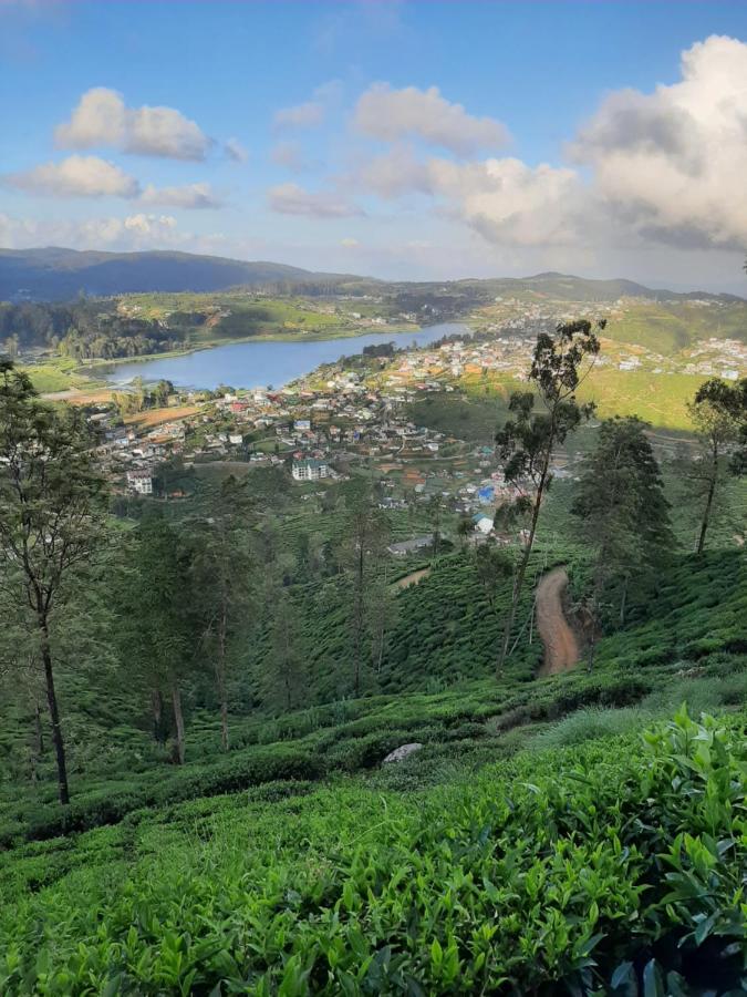 Summer Glow Guest - Nuwara Eliya Bagian luar foto